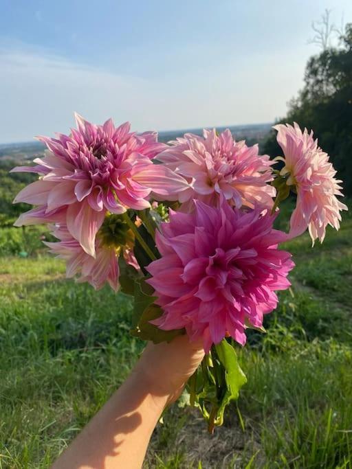 La Quercia E Lo Scoiattolo Bed & Breakfast Sotto il Monte Dış mekan fotoğraf