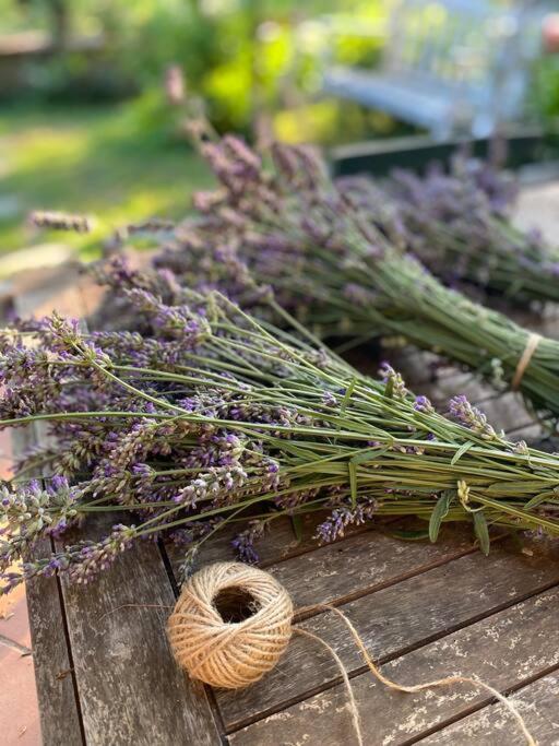 La Quercia E Lo Scoiattolo Bed & Breakfast Sotto il Monte Dış mekan fotoğraf