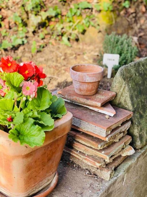 La Quercia E Lo Scoiattolo Bed & Breakfast Sotto il Monte Dış mekan fotoğraf