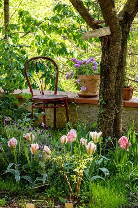 La Quercia E Lo Scoiattolo Bed & Breakfast Sotto il Monte Dış mekan fotoğraf