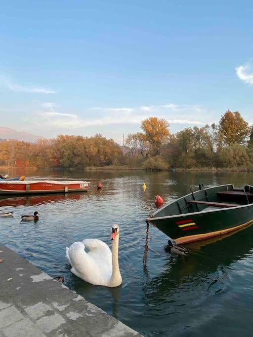 La Quercia E Lo Scoiattolo Bed & Breakfast Sotto il Monte Dış mekan fotoğraf