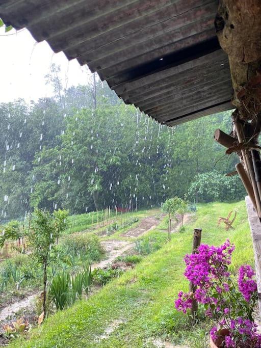 La Quercia E Lo Scoiattolo Bed & Breakfast Sotto il Monte Dış mekan fotoğraf