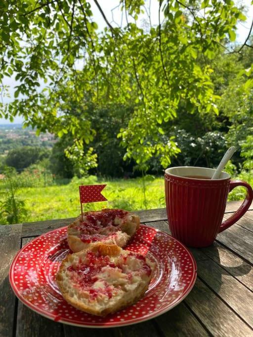 La Quercia E Lo Scoiattolo Bed & Breakfast Sotto il Monte Dış mekan fotoğraf