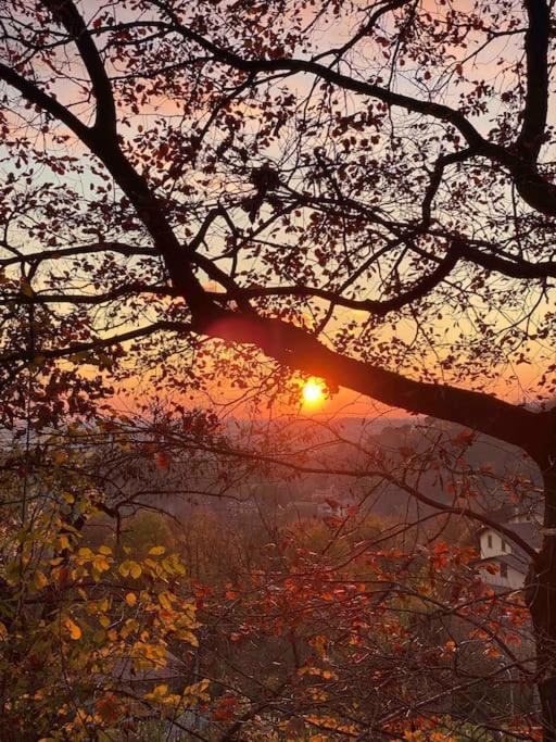 La Quercia E Lo Scoiattolo Bed & Breakfast Sotto il Monte Dış mekan fotoğraf