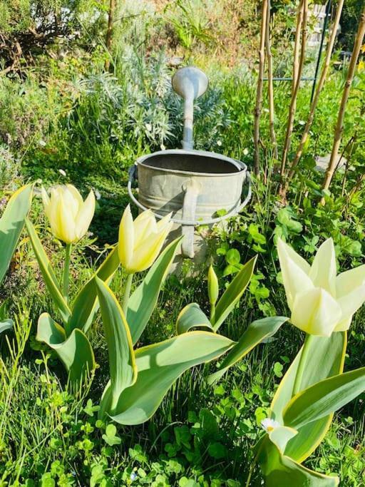 La Quercia E Lo Scoiattolo Bed & Breakfast Sotto il Monte Dış mekan fotoğraf