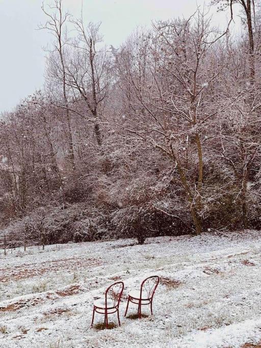 La Quercia E Lo Scoiattolo Bed & Breakfast Sotto il Monte Dış mekan fotoğraf