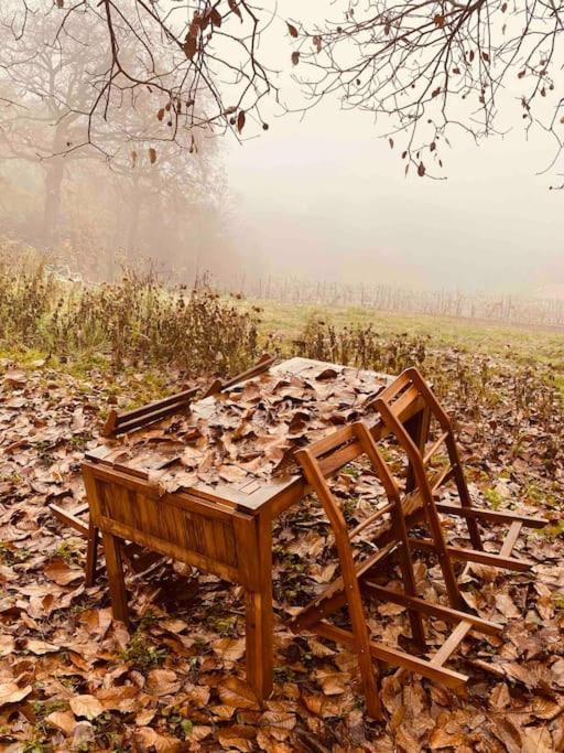 La Quercia E Lo Scoiattolo Bed & Breakfast Sotto il Monte Dış mekan fotoğraf