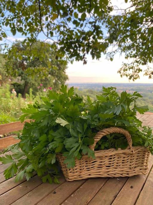 La Quercia E Lo Scoiattolo Bed & Breakfast Sotto il Monte Dış mekan fotoğraf