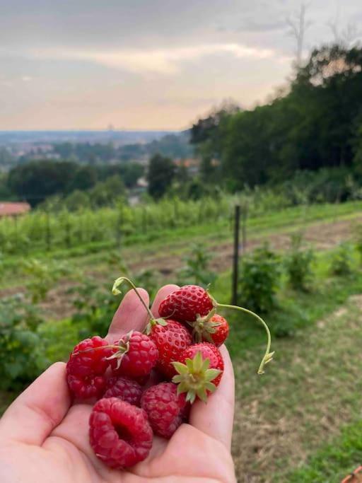 La Quercia E Lo Scoiattolo Bed & Breakfast Sotto il Monte Dış mekan fotoğraf