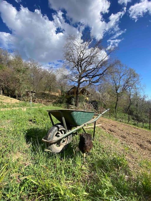 La Quercia E Lo Scoiattolo Bed & Breakfast Sotto il Monte Dış mekan fotoğraf