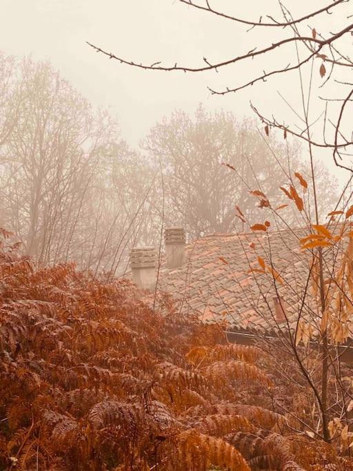 La Quercia E Lo Scoiattolo Bed & Breakfast Sotto il Monte Dış mekan fotoğraf