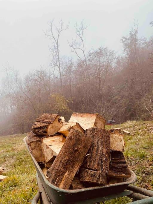 La Quercia E Lo Scoiattolo Bed & Breakfast Sotto il Monte Dış mekan fotoğraf