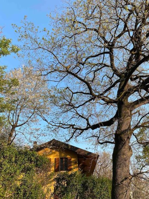 La Quercia E Lo Scoiattolo Bed & Breakfast Sotto il Monte Dış mekan fotoğraf